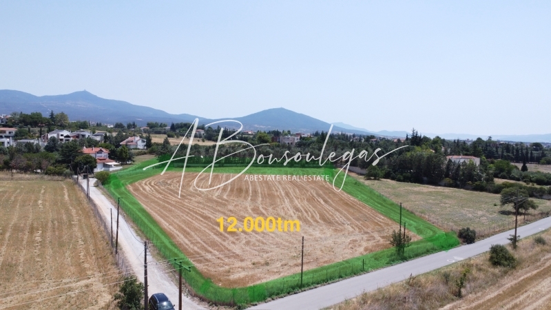 property-img
