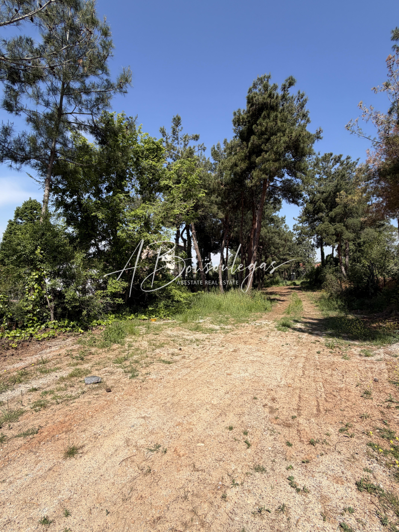 property-img
