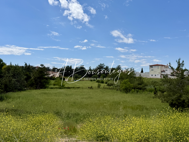 property-img
